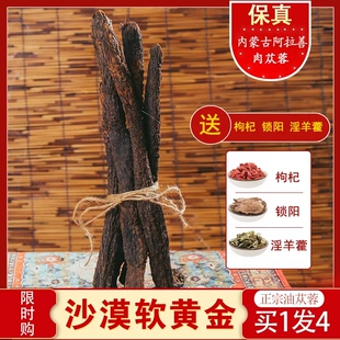 内蒙古肉苁蓉正品 阿拉善油苁蓉泡茶整根非野生泡酒药材锁阳淫羊藿