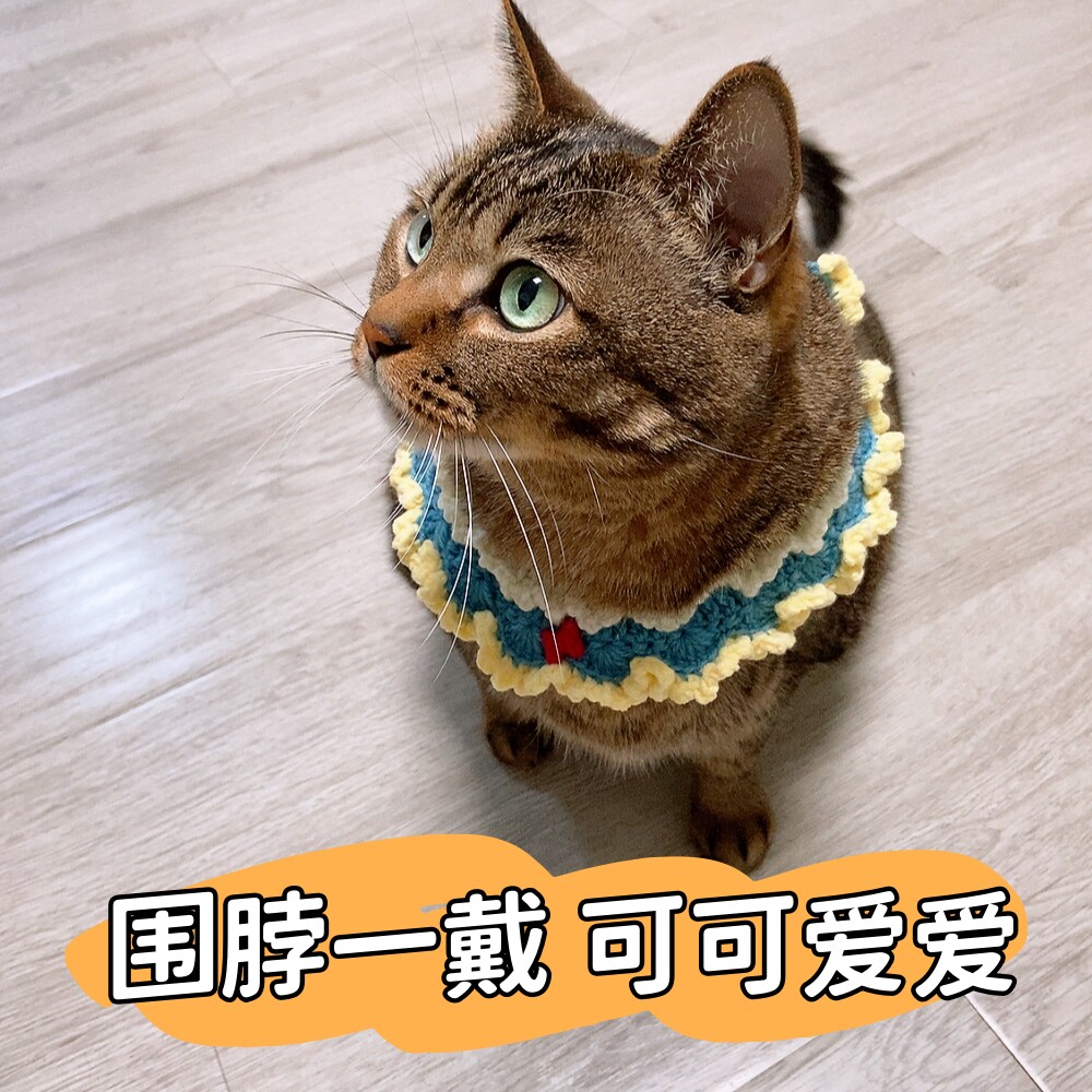 【手工编织】猫咪狗狗可爱围脖
