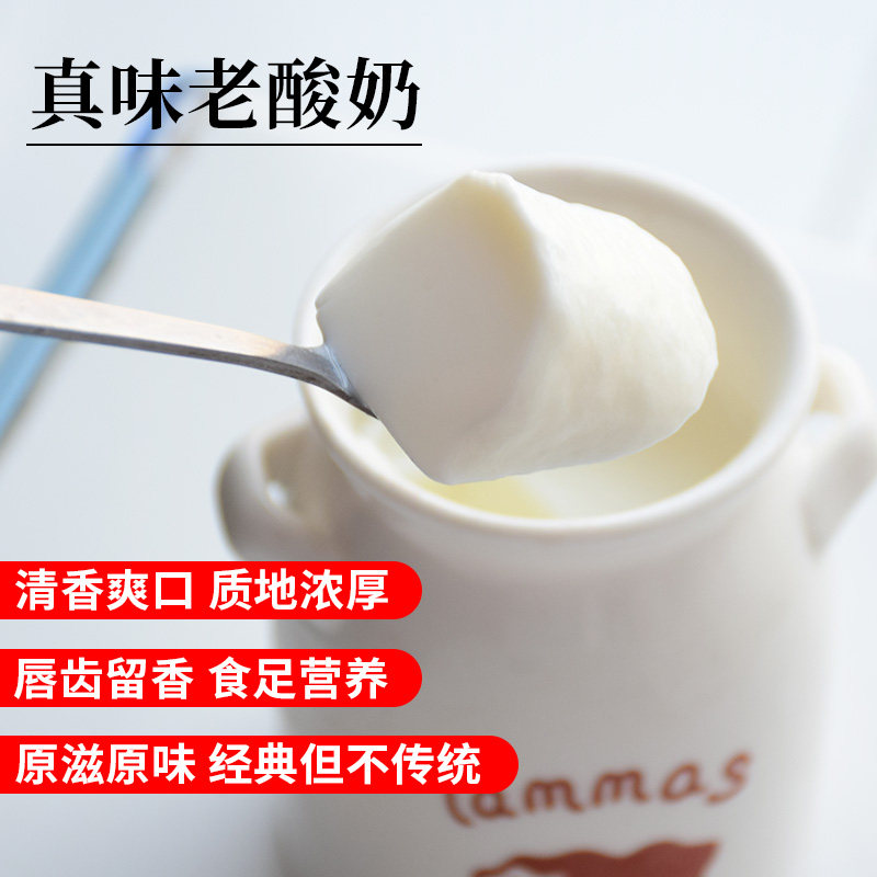 洲宏生物奶吧真味老酸奶专用奶酪粉商用菌种发酵老北京酸奶专用粉