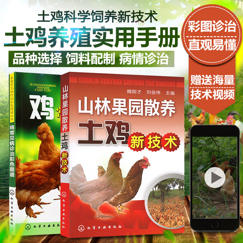 山林果园散养 土鸡新技术+鸡常见病诊治彩色图谱 2本 鸡病鉴别诊断图谱散养鸡养殖技术大全书养鸡技术书散养土鸡实用技术书养鸡书