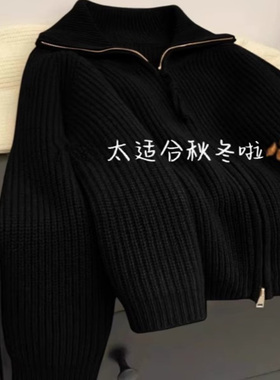 慵懒高级感黑色仿浣熊绒毛衣外套女秋冬设计感翻领双拉链针织开衫