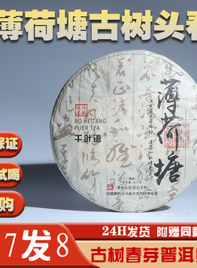 千叶语2020薄荷塘金芽普洱茶熟茶 陈年熟普 云南七子饼普洱茶叶
