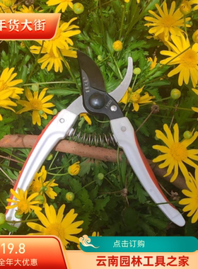 果农之友130DX修枝剪园艺剪刀剪树枝专用剪刀园林修剪果树修枝