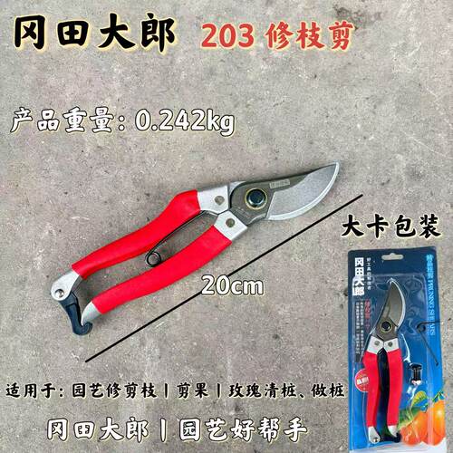 园艺修枝剪剪树枝的剪刀