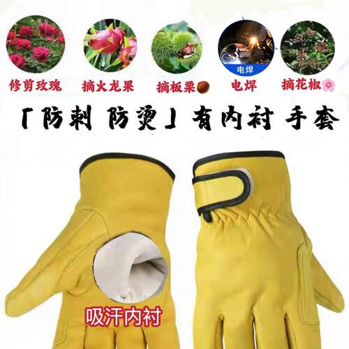 防刺防猫抓/园林园艺修剪手套