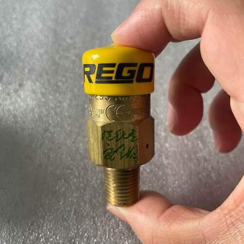 可维修REGO安全阀，型号NO.3127G，黄铜材质，NPT1议价