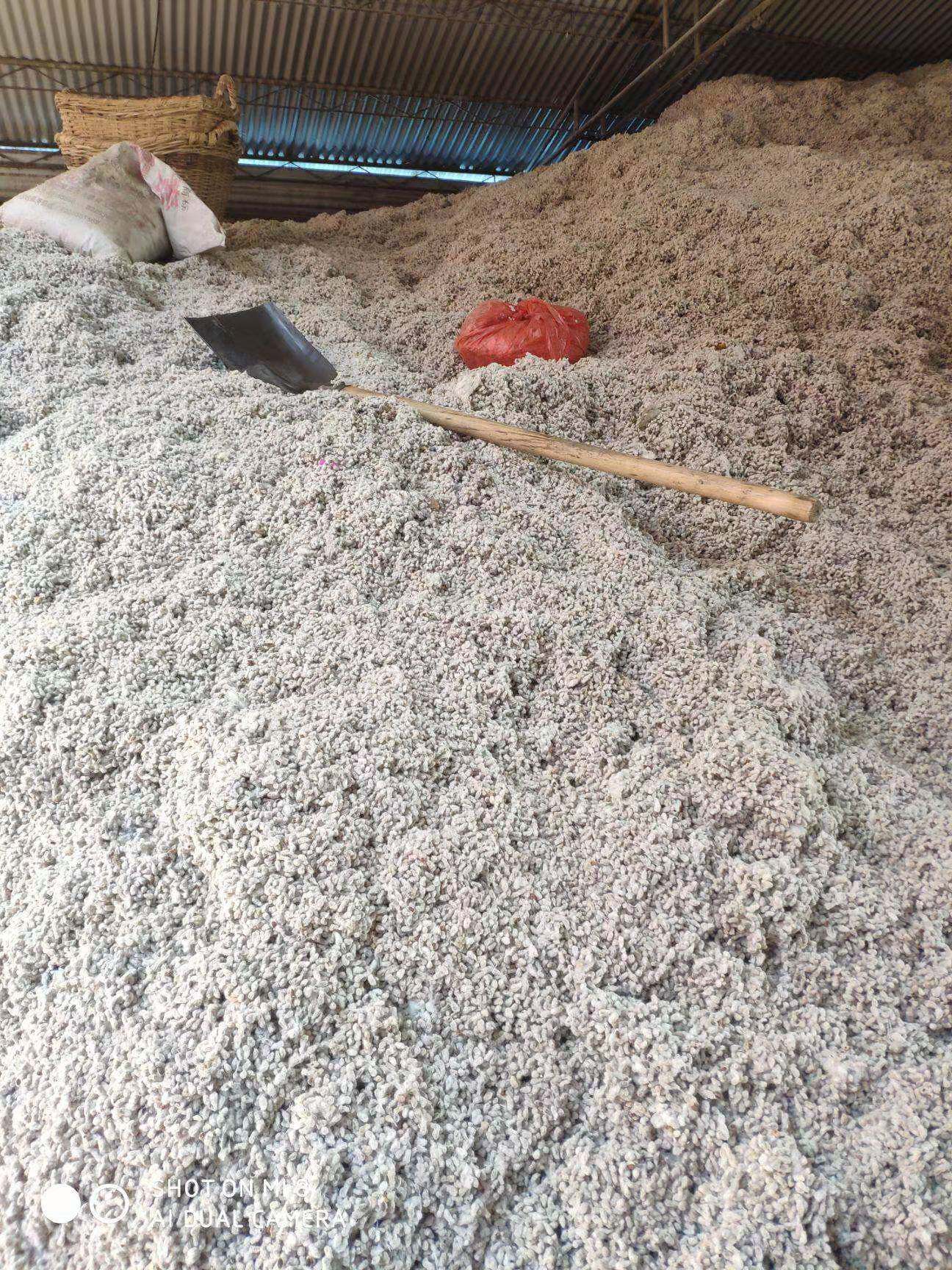 结婚庆红绿棉花籽压床摆件早生贵
