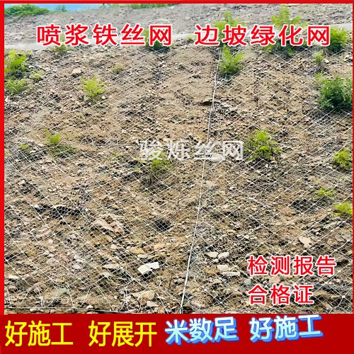 镀锌铁丝网双拧结网边坡喷浆