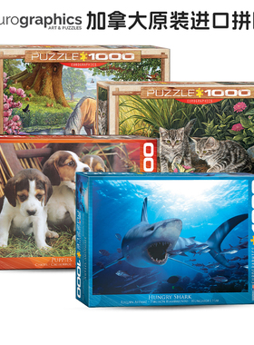 Eurographics 加拿大进口拼图成人 长颈鹿妈妈的吻 1000片 玩具