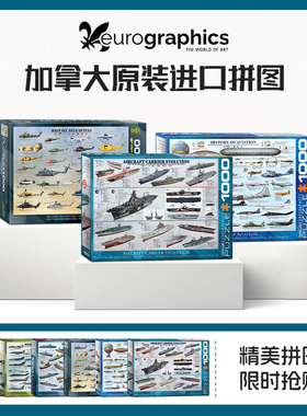 Eurographics 加拿大进口拼图成人 飞机战机猎鹰 1000片 玩具益智