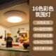 小夜灯16色氛围装 饰灯无线遥控创意调光触摸灯拍拍灯智能灯橱柜灯