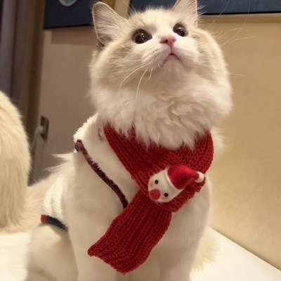 宠物猫咪衣服圣诞节秋冬装棉衣布