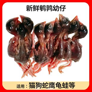 新鲜小鹌鹑肉乳鹌鹑小苗现杀速冻生骨肉非冻干猫狗宠物喂蛇龟零食