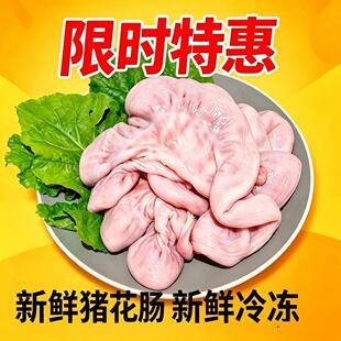猪花肠猪儿肠猪脆肠猪生肠猪房子猪仔肠冷冻新鲜一整箱脆肠新鲜