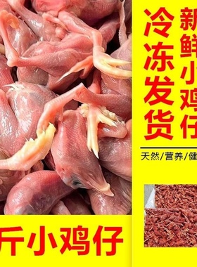 5斤装新鲜小鸡仔肉宠物猫狗粮零食乳鹌鹑幼崽雏现杀宠物主食冷冻