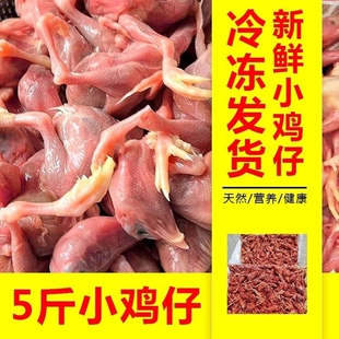 5斤装新鲜小鸡仔肉宠物猫狗粮零食乳鹌鹑幼崽雏现杀宠物主食冷冻