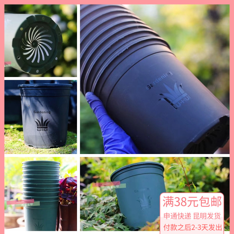 【包邮加仑盆】B站vv同款花盆一加仑芦荟 logo 加仑盆10个一组