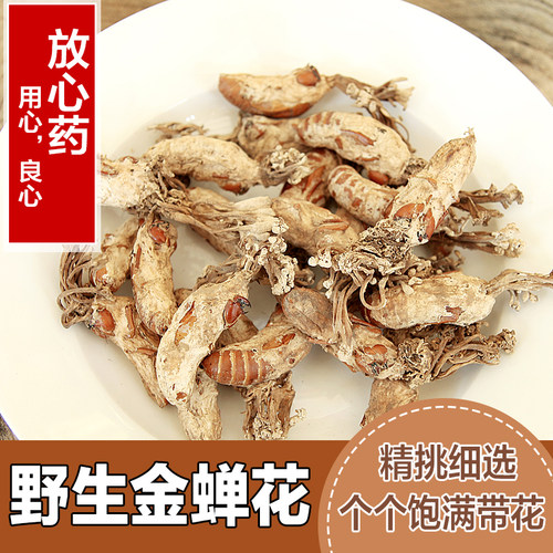 野生金蝉花虫草粉知了花同仁堂