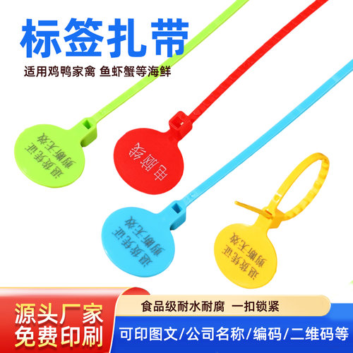 一次性塑料防伪扎带标牌