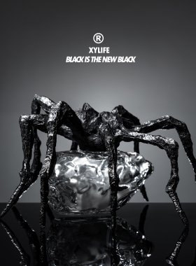 XYLIFE 彼觉 №066一直走到黑  精致织物香氛香水礼盒 纯金属瓶盖