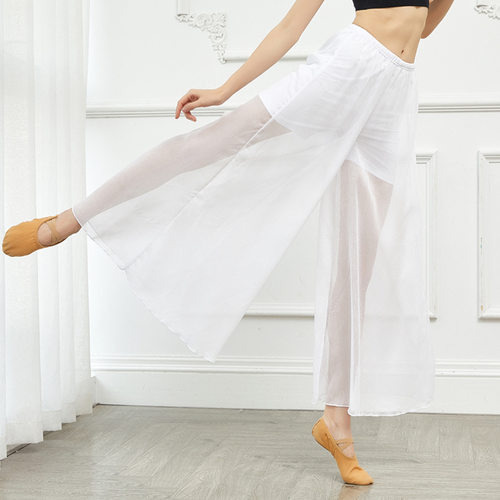 新款古典舞练功服中国风网纱雪纺单层阔腿裤飘逸现代舞表演服装