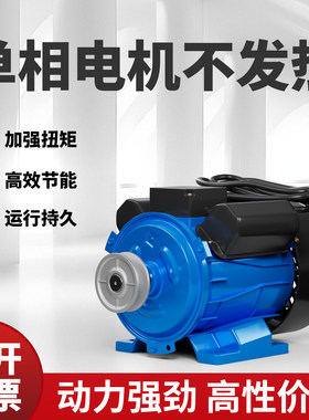 单相电动电机玉米脱粒机220V家用电机剥苞米棒槌专用新款电机