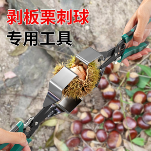剥板栗刺球神器栗子外壳去皮毛夹脱蓬器拨板栗开壳开口超省力工具