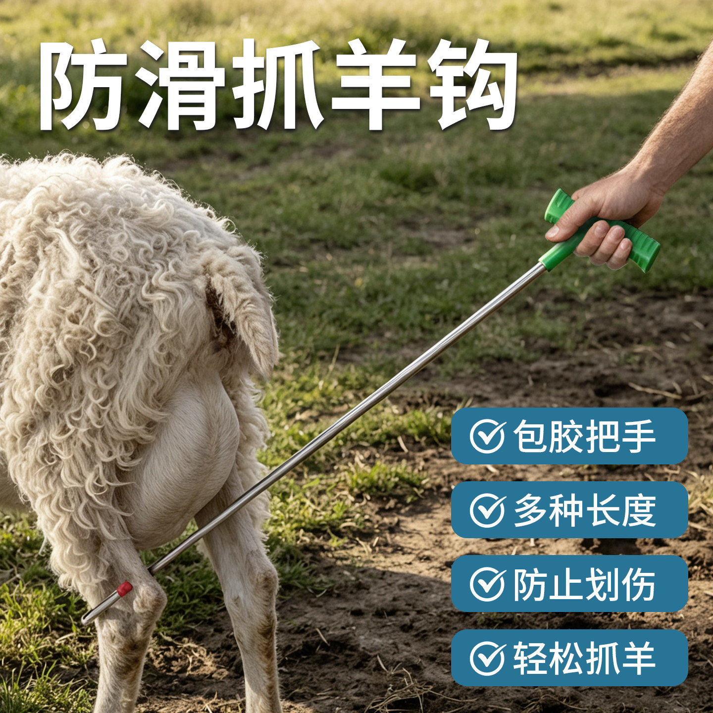 抓羊钩捉羊钢钩逮羊钩捉羊钩子钩羊腿蹄子钩抓羊工具捉羊勾子钩子图片