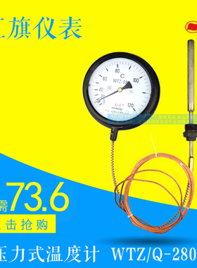 红旗仪表 电接点压力式温度计WTZ/WTQ-280/288毛细管全铜可定制