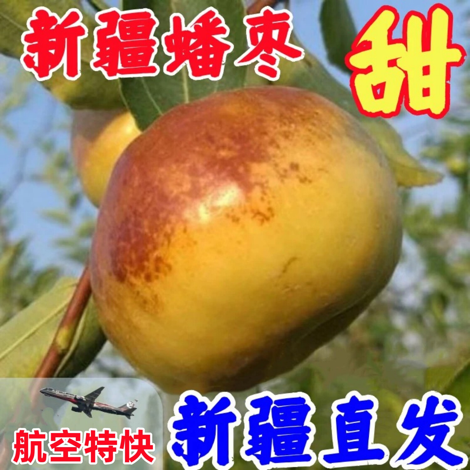 新疆大漠蟠枣鲜枣大枣新鲜水果脆甜枣牛奶冬枣沙漠苹果枣4斤潘枣