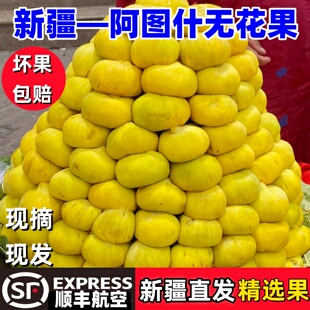 新疆无花果阿图什糖包子新鲜无果花孕妇水果应季黄皮送礼盒顺丰