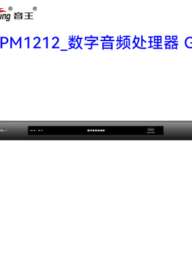 音王DPM1212_数字音频处理器 GP