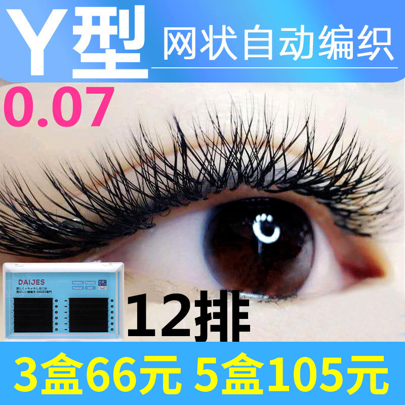 0.07y型睫毛山茶花嫁接网状编织