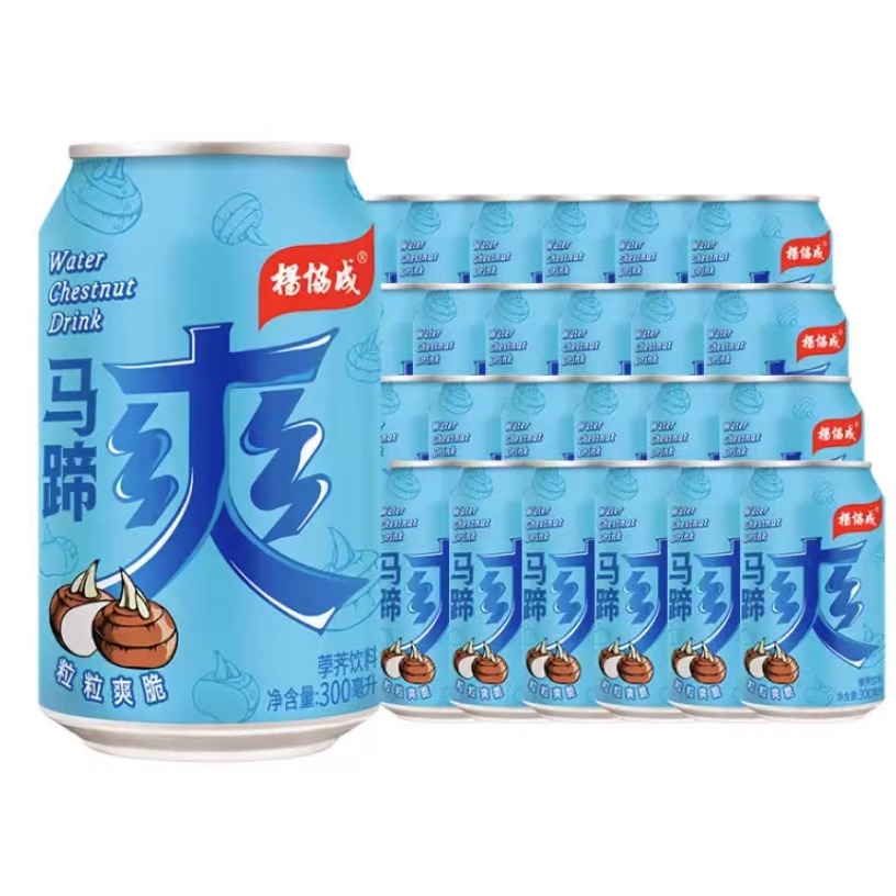 杨协成广州300ml马蹄爽