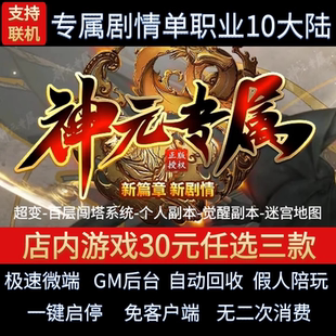 传奇单机电脑版神元专属单职业10大陆剧情附灵假人GM后台微端联机