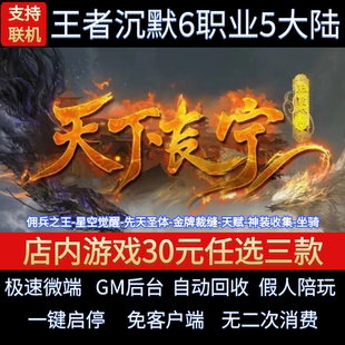 天下长宁之王者沉默传奇单机版6职业5大陆佣兵假人GM后台微端联网