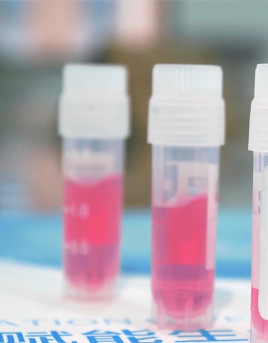 MSC细胞上清液无菌涂抹上清液