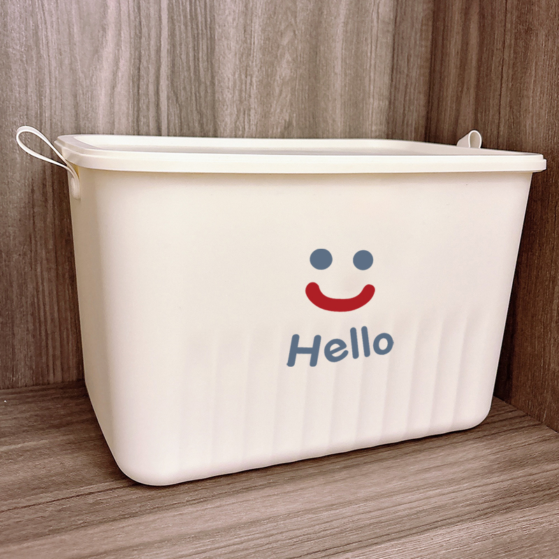 【买一送一】高颜值大容量收纳箱
