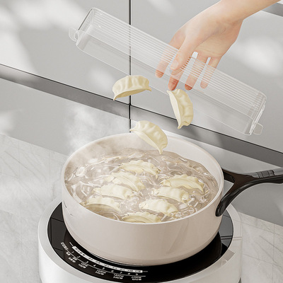 年新款饺子盒家用厨房食品级冰箱