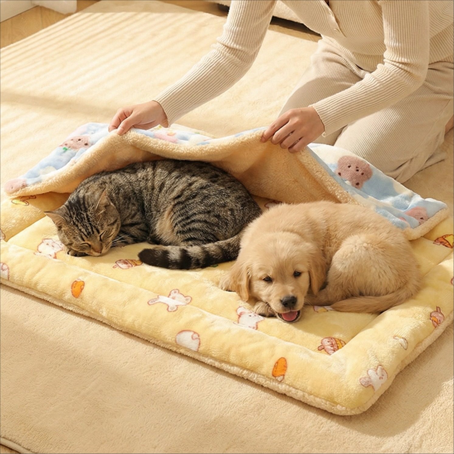 宠物毛毯猫毯子保暖猫窝秋冬款狗窝毯子猫窝睡垫猫垫猫咪垫子冬季,宠物/宠物食品及用品,猫窝/屋/帐篷/沙发,淘宝优惠券,粉丝福利购,淘宝优惠卷