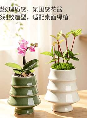 园艺陶瓷多肉花盆创意圣诞树器型