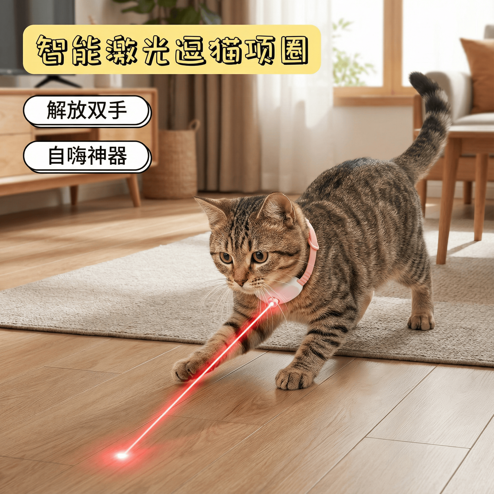 宠物玩具激光宠物项圈智能激光逗猫激光笔猫玩具宠物用品解放双手,宠物/宠物食品及用品,宠物智能玩具,淘宝优惠券,粉丝福利购,淘宝优惠卷