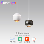 卧室床头吧台餐厅圆球升降全屋智能小吊灯涂鸦调光缓启动语音控制