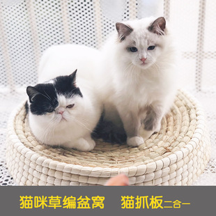 猫抓盒 大猫窝 猫玩具草编猫碗磨爪垫 包邮 超大号碗形猫抓板