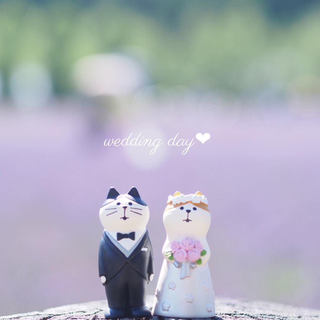 日本旅猫系列Happy Wedding猫咪西式婚礼装饰 迷你摆件 婚庆公仔