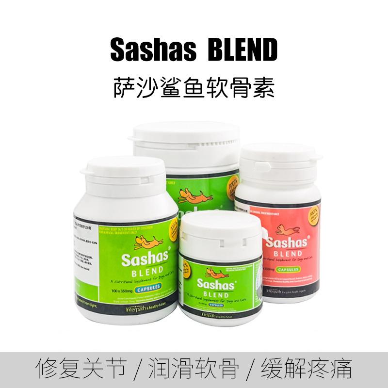 sashas折耳猫髋关节鲨鱼软骨素
