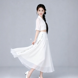 2026夏中国风雪纺半身裙刺绣花盘扣复古仙女裙中长款禅意大摆裙