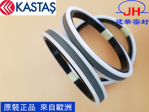 进口土耳其KASTAS卡斯塔斯密封 原装正品 K19/SPGW 油缸活塞油封