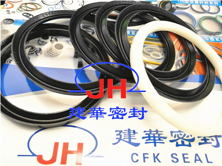 德国组合防尘圈密封件