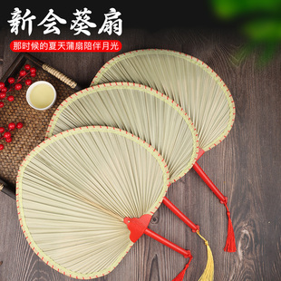 新会葵扇纯手工夏季儿童舞蹈大扇子蒲葵老人驱蚊芭蕉扇棕叶蒲草扇